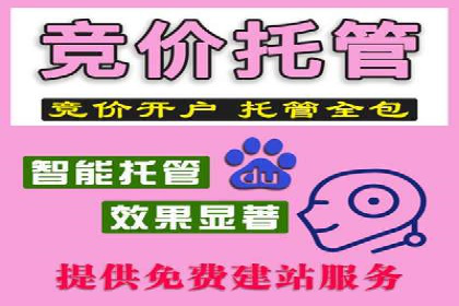百度竞价代理的运营策略与成功案例分析